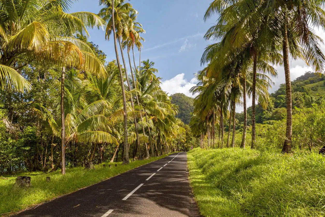 location voiture séjour Martinique