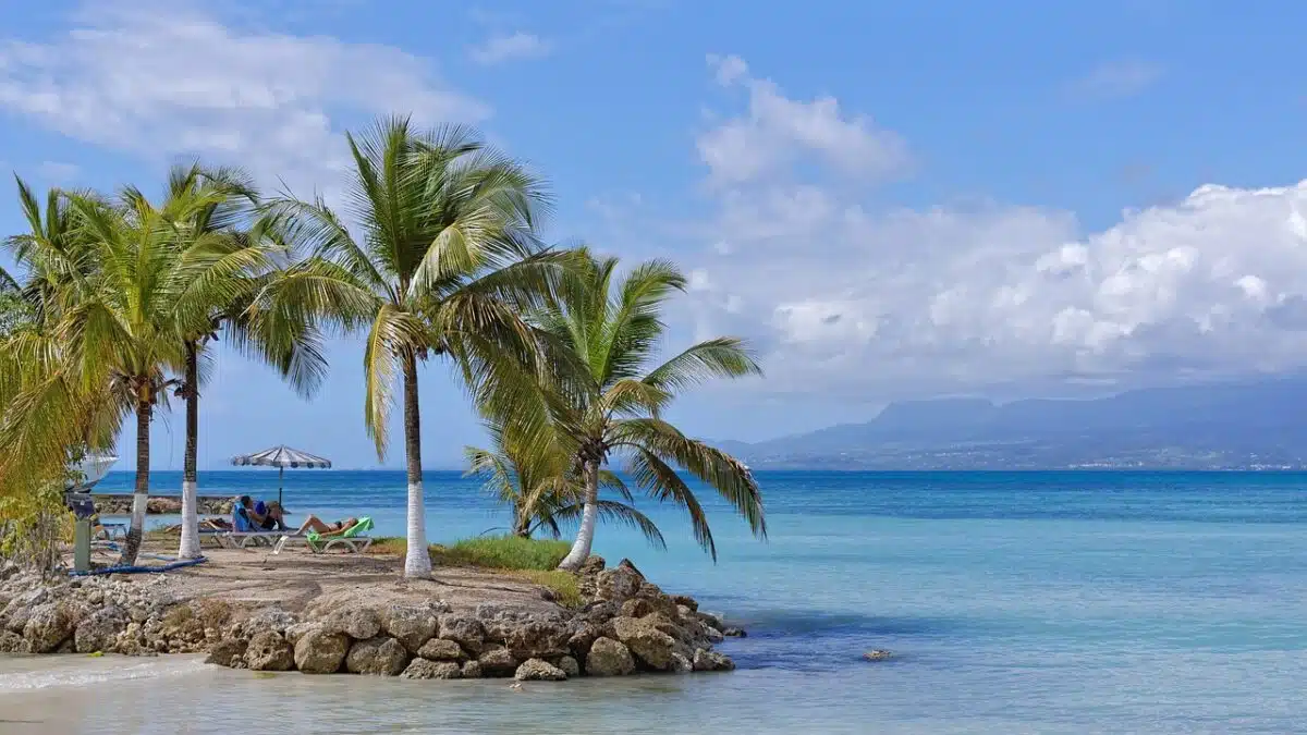 beach, coconut, sea