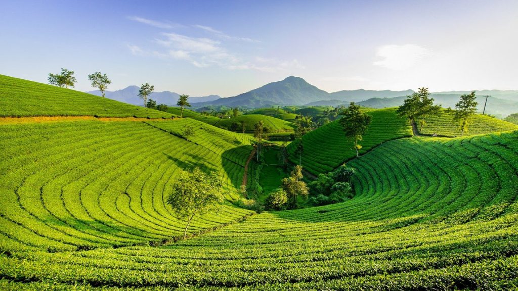 Choisir un visa pour votre voyage au Vietnam