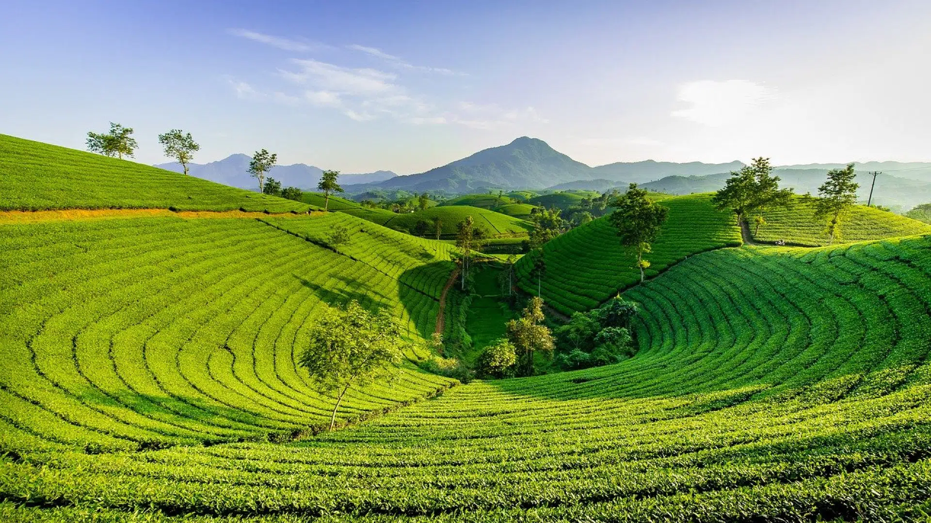 Choisir un visa pour votre voyage au Vietnam