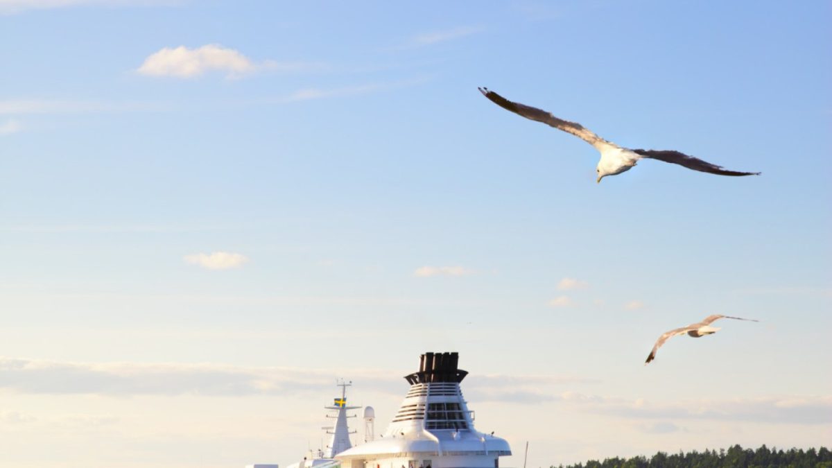 Croisière en Grèce : une plongée dans l'histoire et la beauté des îles